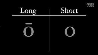 tube8国产,揭秘国内热门视频平台背后的精彩故事  第3张