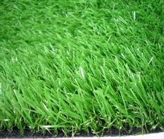 国产人人草,人人草，绿色健康生活新选择  第3张