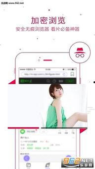 1204基地国产看片你懂的,国产影视盛宴背后的故事  第2张