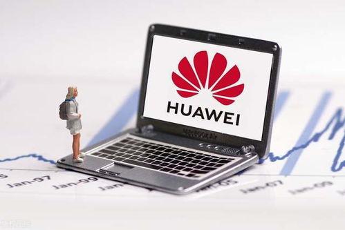 国产福利1000,1000项福利政策全面解读  第3张