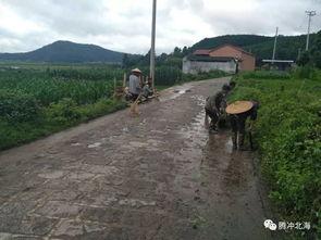 国产三级乡下,国产三级电影的乡村画卷  第3张