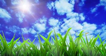 青草国产视频 第3张 青草国产视频 第3张