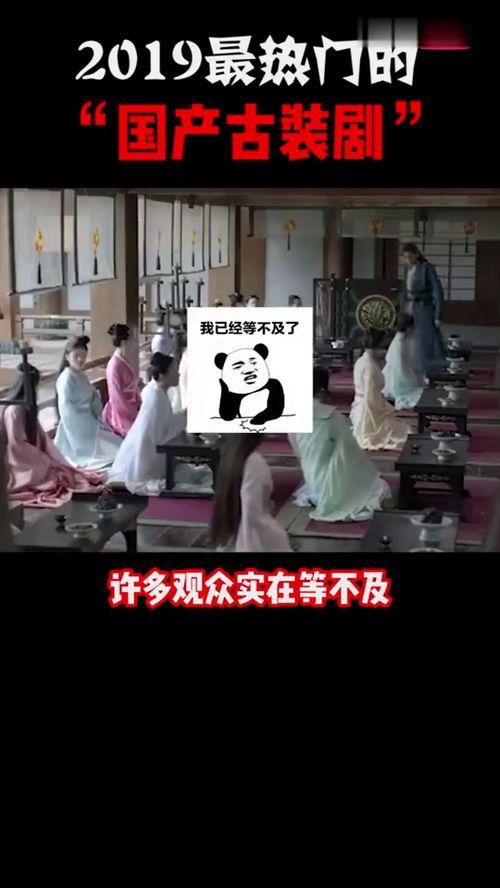 国产国产视频  第2张