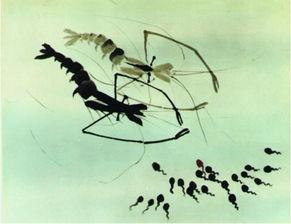 蝌蚪网国产,蝌蚪网引领绿色科技新潮流  第1张