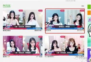 国产主播三级,揭秘我国网络直播行业的崛起与挑战 第2张 国产主播三级,揭秘我国网络直播行业的崛起与挑战 第2张