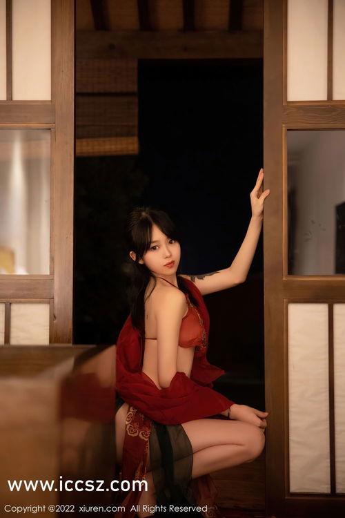 国产高清美女一级a毛片久久,揭秘毛片世界中的艺术与诱惑  第2张