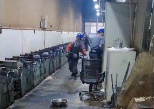 国产看片基地  第2张