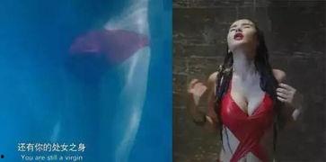 国产三级黄色影视,国产三级影视的隐秘世界 第3张 国产三级黄色影视,国产三级影视的隐秘世界 第3张